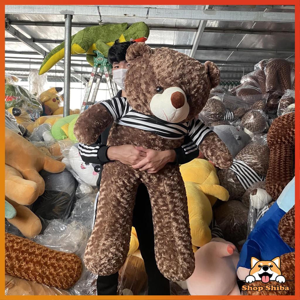 Gấu Bông Teddy 1M3 Mềm Mịn - Ôm Phê Hơn Cả Người Yêu