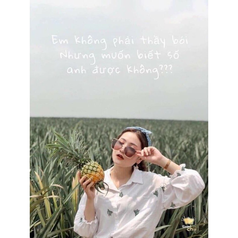 Áo Sơ Mi Nữ Tay Phồng - Áo Sơ Mi Bánh Bèo Xương Rồng