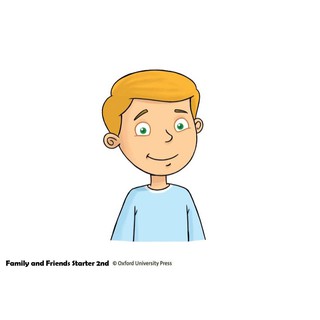 Flashcard Family and Friend Starter 2nd