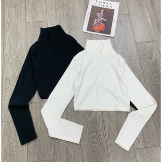 áo crop top tay dài cổ lọ