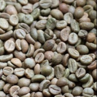 Nhân cà phê sống Robusta chưa rang 1kg
