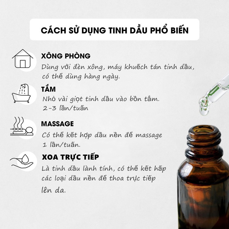 Tinh dầu thiên nhiên nguyên chất chai lớn 10ML. Thích hợp để trong phòng / phòng tắm / ô tô v.v.