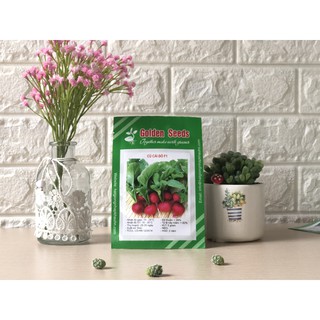 Hạt Giống Củ cải đỏ 0.5 gram/gói
