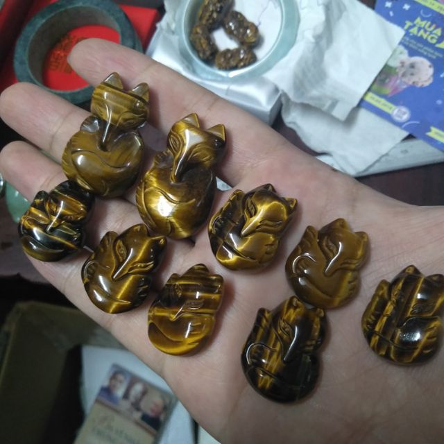 Hồ ly đá mắt hổ