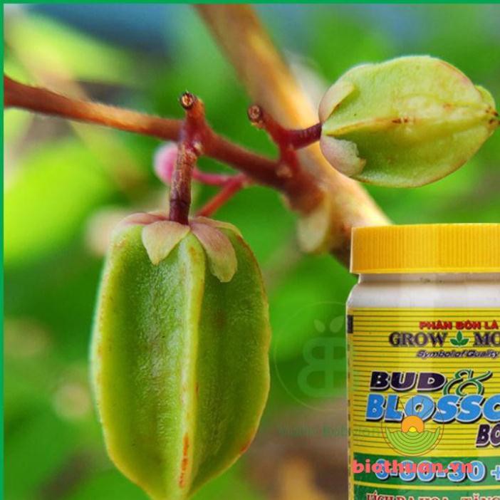 Phân Bón Lá 6-30-30 Growmore Kích Hoa - Phát Triển Bộ Rễ