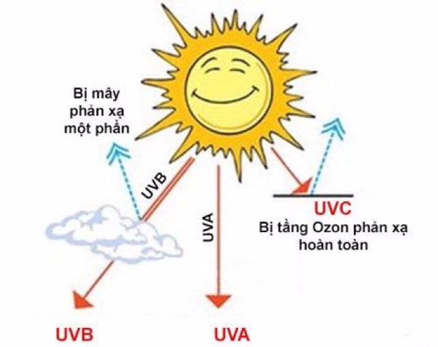 KEM CHỐNG NẮNG CAO CẤP NS SPF 50+ PA ++++