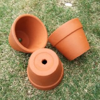 Chậu đất nung mini trung 9×8