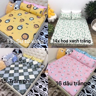 Bộ ga - gối cotton poly