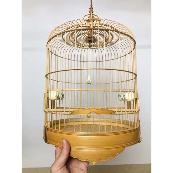 lồng chim yến choè đất tiêu mi