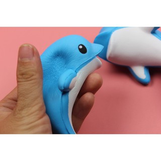 SquiShy cá heo