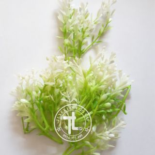 5 bịch hoa cỏ nhí trang trí  100k