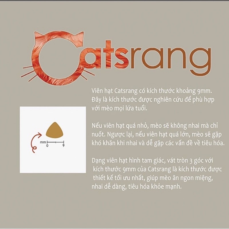 Hạt thức ăn cho mèo Catsrang Kitten (1,5kg) [GIẢM SỐC] phù hợp cho mèo con