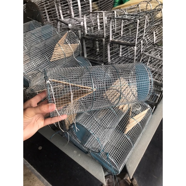 Bẫy ếch đồng.