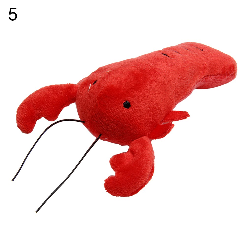 Đồ Chơi Gặm Hình Dép Kẹp Cho Thú Cưng