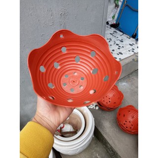 Chậu trồng lan lượn giả đất nung rộng 23cm cao 12cm