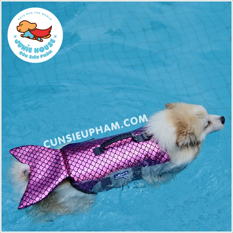 Áo phao đi bơi chuyên dụng cho chó mèo
