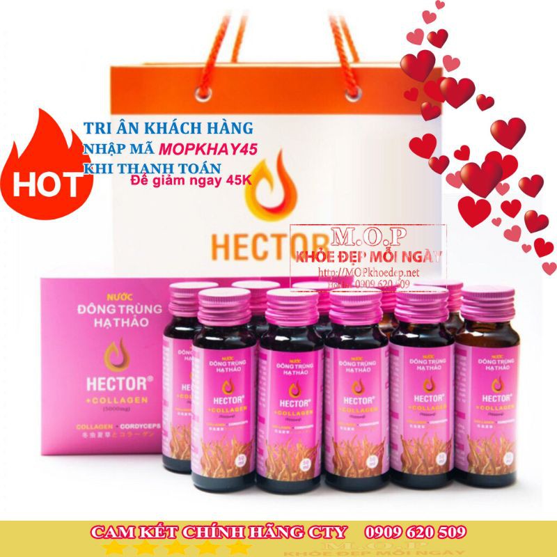 (CHÍNH HÃNG) Combo 02 hộp nước Đông Trùng Hạ Thảo Hector Collagen (20 chai/ combo)