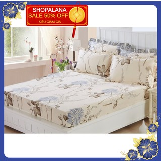 Sỉ bộ ga gối polly cotton 1m6 *2m alana42