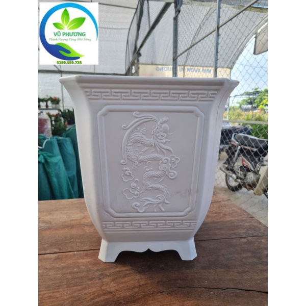 Chậu vuông tứ quý kt miệng 25cm x cao 30cm