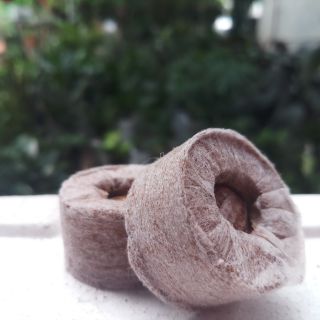 Viên Nén Xơ Dừa Batrivina - Ươm Key Lan, Hoa Hồng