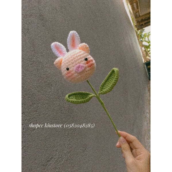 Bông Hoa Heo Len Handmade