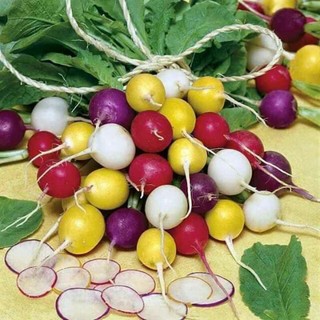 Hạt cây ớt ngũ sắc nhiều màu