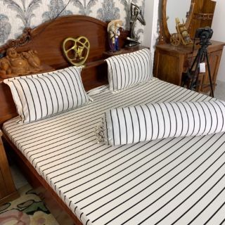 Bộ ga thun Lạnh nhập khẩu 1m6x2m