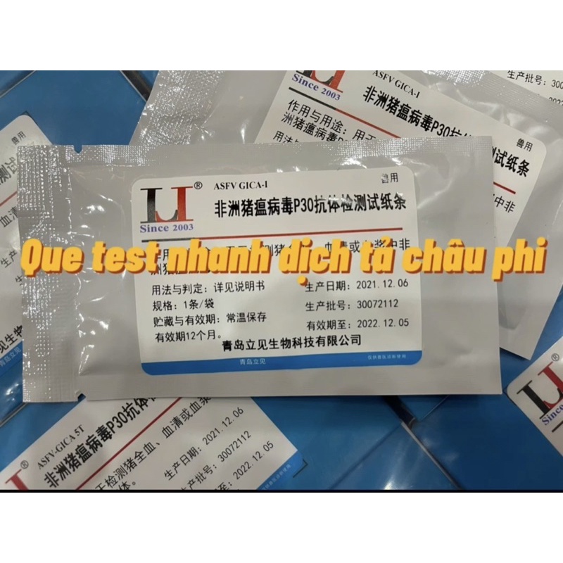 Que test nhanh bệnh dịch tả châu phi