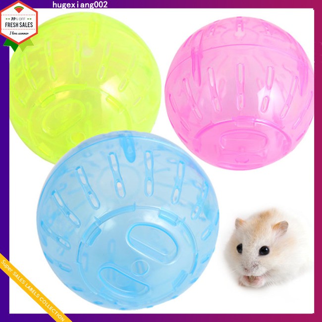 Quả Bóng Đồ Chơi Cho Chuột Hamster Bằng Nhựa