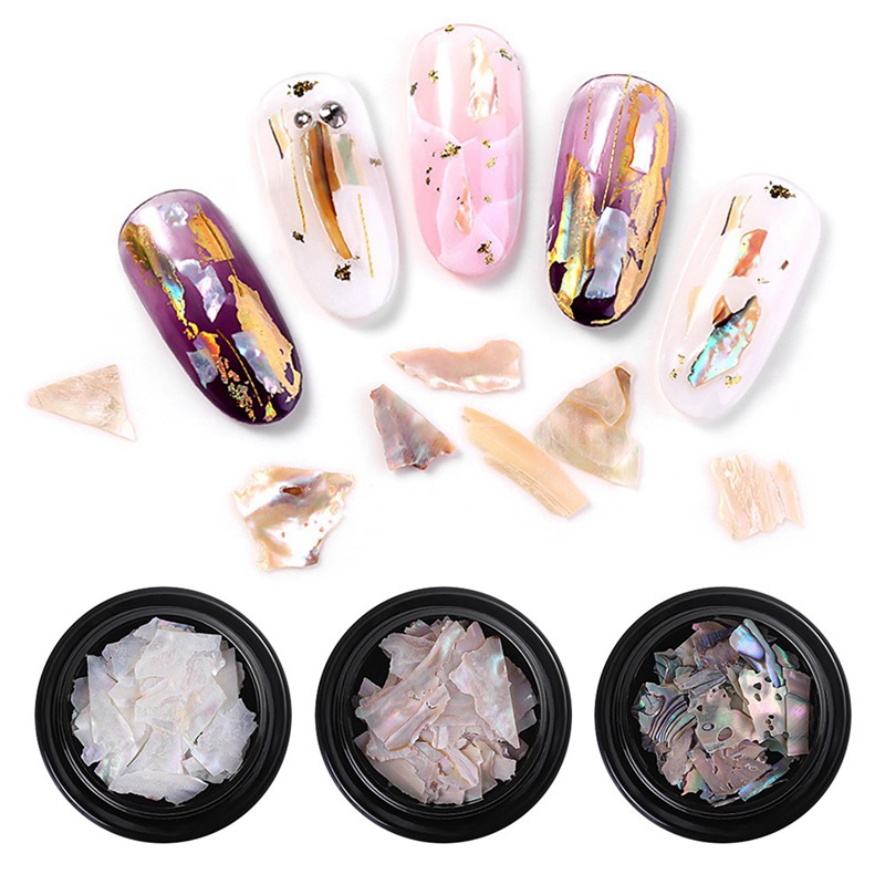 [Hàng mới về] Hộp đá vỏ sò tự nhiên trang trí móng tay