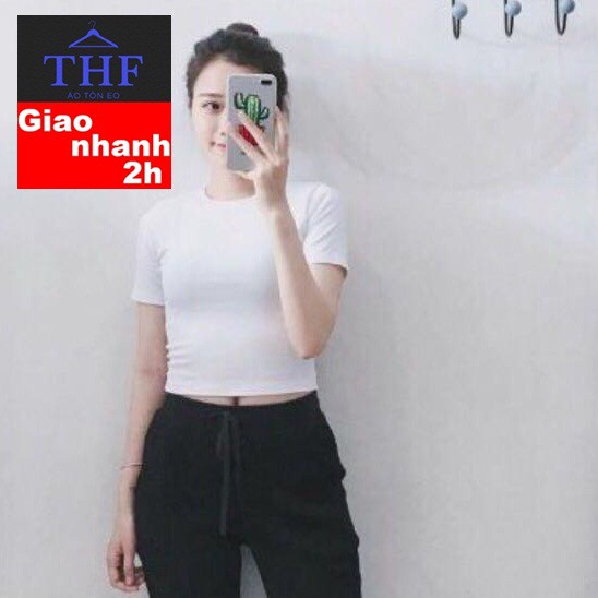 THF ÁO THUN CROPTOP TÔN EO, VẢI CAO CẤP (95% COTTON, 5% SPANDEX) TÔN EO, BAO VỪA DƯỚI 46KG)