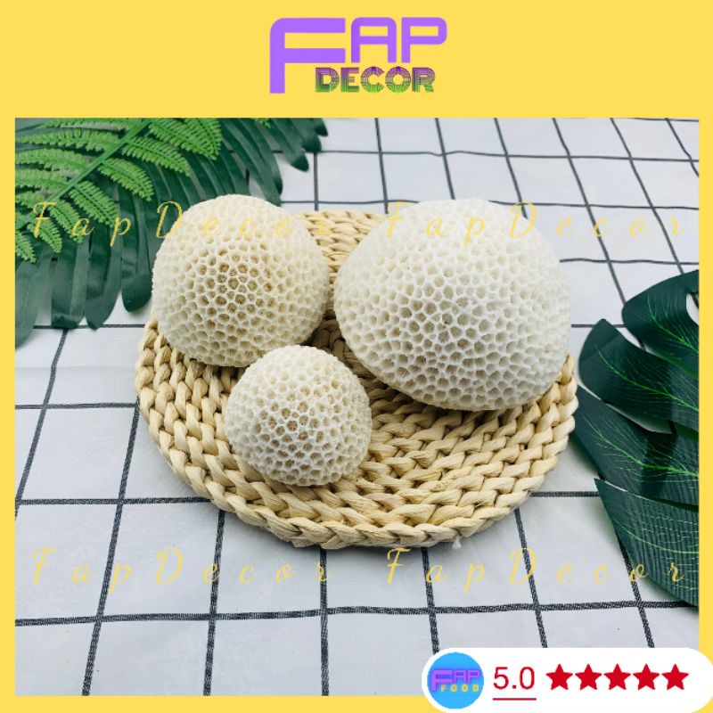 San Hô Quả Cầu Trang Trí Hồ Cá, Thủy Sinh, Trang Trí Nội Thất Decor Phòng - FapFood