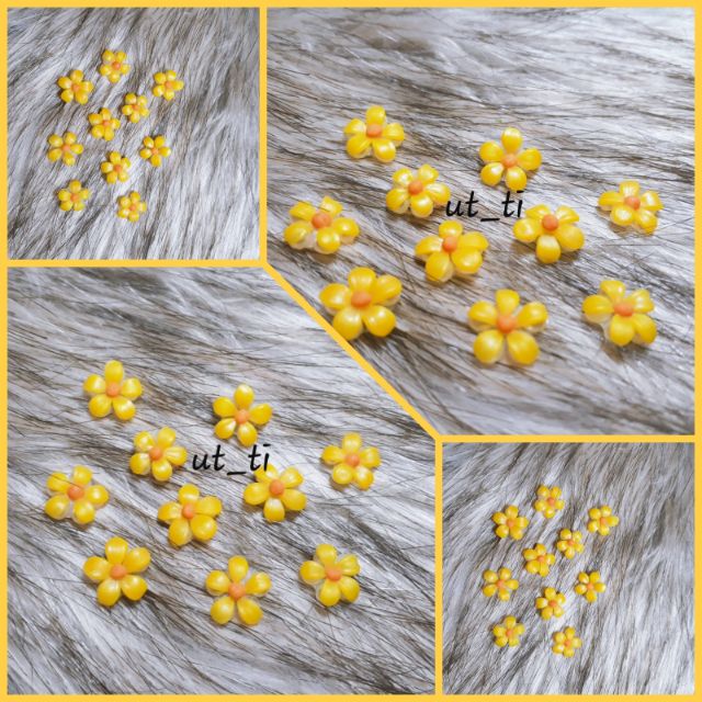 Hoa dã quỳ 5 cánh (đủ màu)🌼