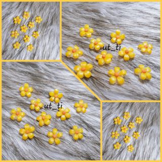 Hoa dã quỳ 5 cánh (đủ màu)🌼