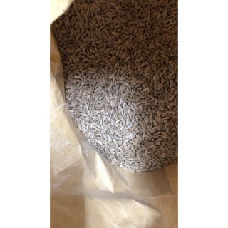 Nhân hạt hướng dương ấn độ tách vỏ-100g