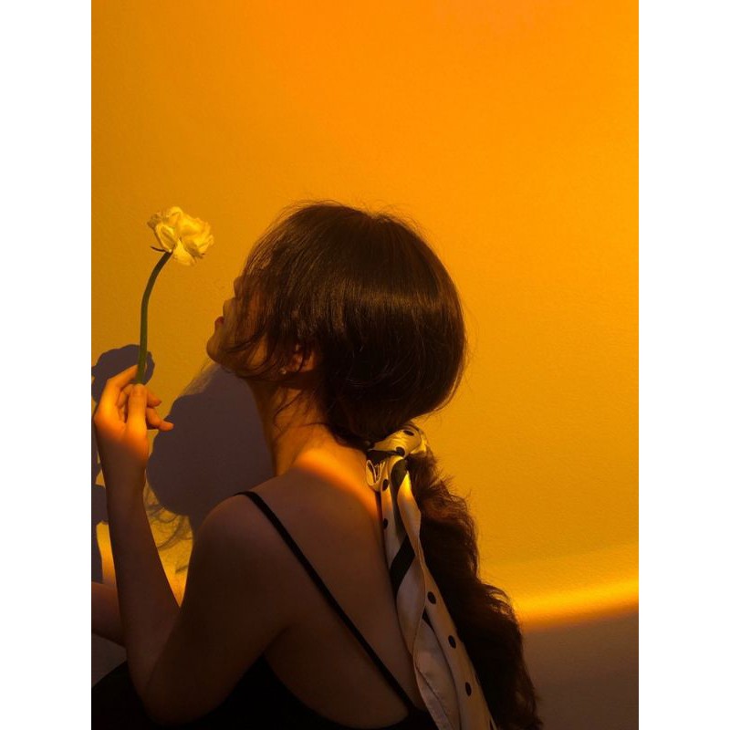 Đèn led hoàng hôn Rose Blackpink