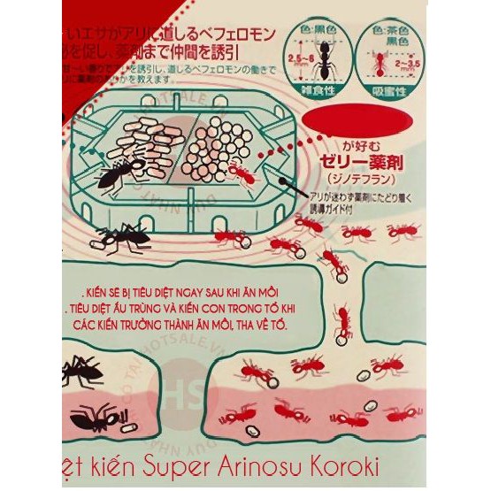 [Nhật nội địa] Thuốc diệt kiến Super Arinosu Koroki Nhật vỉ 2 hộp - thuốc diệt kiến hiệu quả an toàn với sức khoẻ Nhật