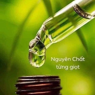 Dầu Húng Chanh Minion