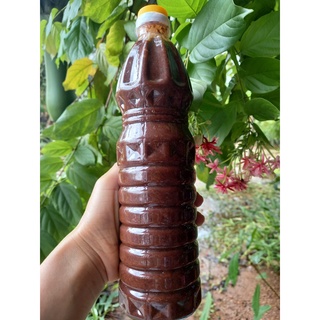 Mắm ruốc chua cay truyền thống làng nghề Phú Lợi, chai 1 lít cam kết sạch, đảm bảo an toàn VSTP_ mắm tép xứ Nghệ