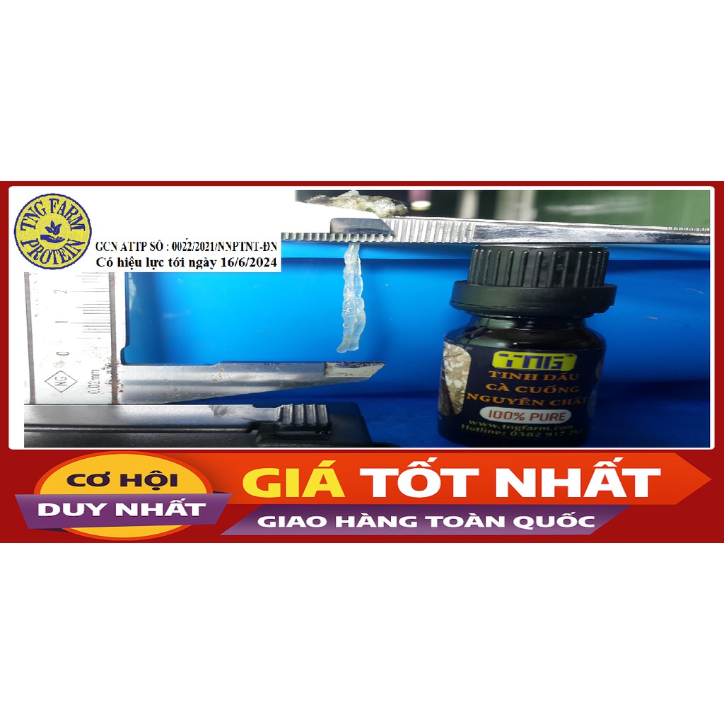 TINH DẦU [Mã TNGF01 NHẬN NGAY 10K] Cà cuống đực 100% nguyên chất - 2bọng. | BigBuy360 - bigbuy360.vn