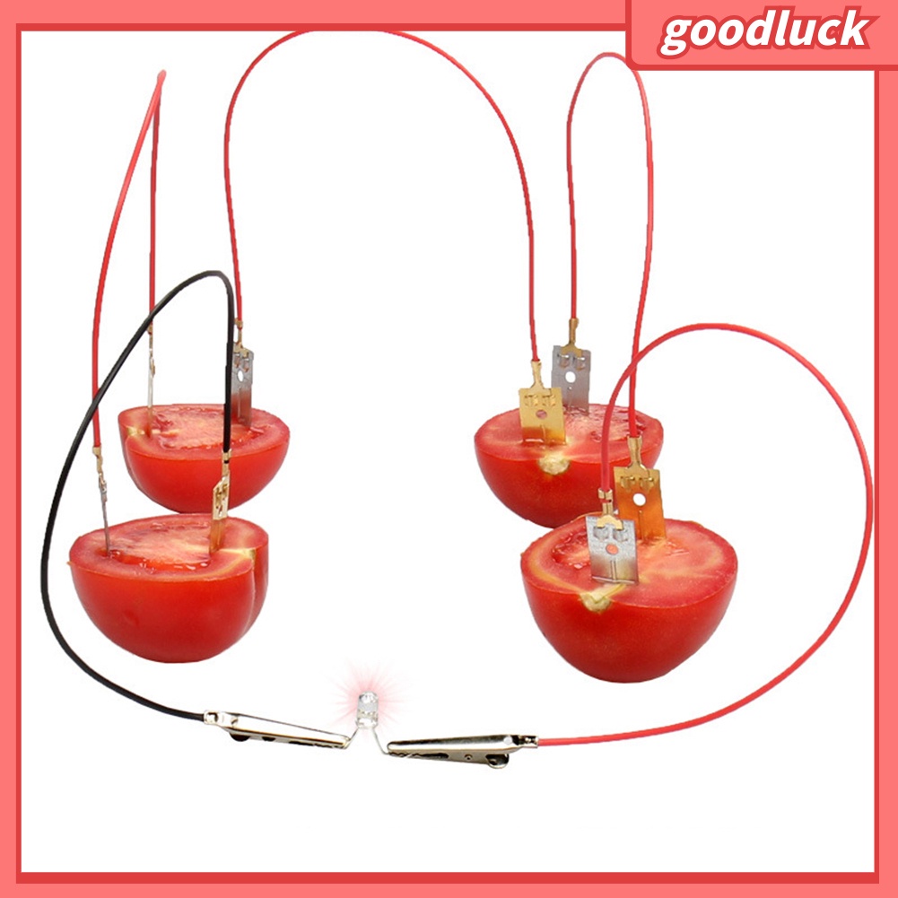 Bộ đồ chơi thí nghiệm khoa học có đèn chạy pin hình trái cây dành cho học sinh