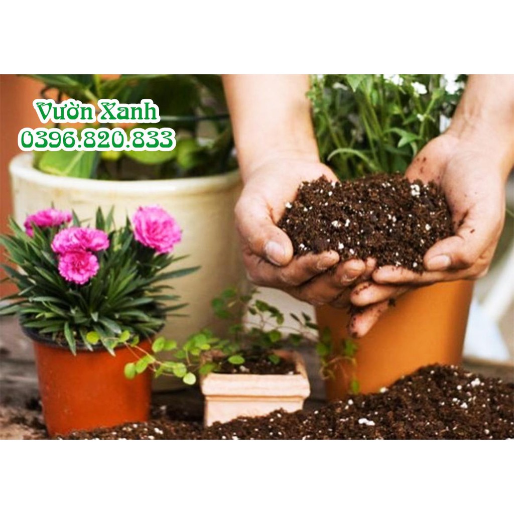 Đá Vermiculite nâu trồng cây cảnh gói 8dm3