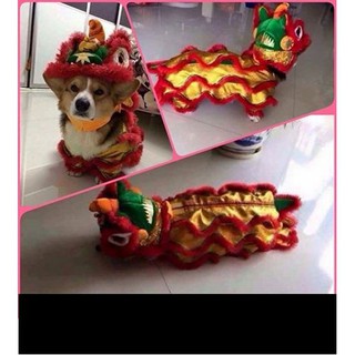 Bộ lân hóa trang cho cún