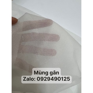 Keo mùng gân trắng đen