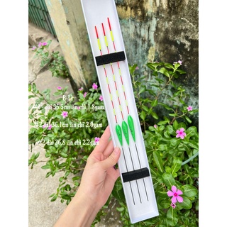 Bộ phao câu cá