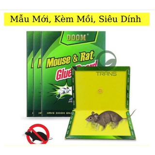 Keo dính chuột kèm mồi siêu dính