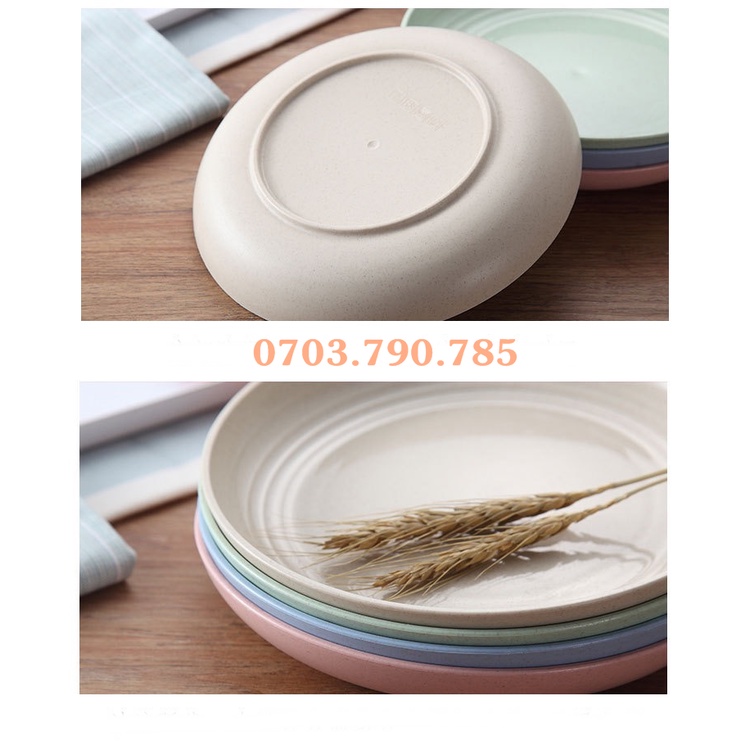 Dĩa nhựa lúa mạch_Size Lớn