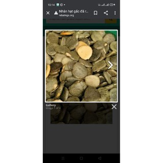 nhân hạt gấc 0.5kg