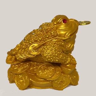 Cóc Vàng Poly Nhỏ PT0091