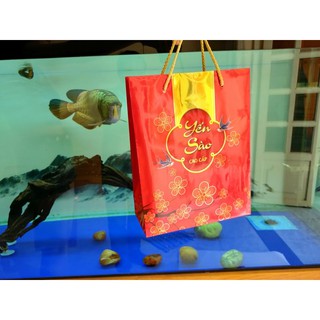 Túi yến sào cao cấp 100gram 22x28x9.5cm